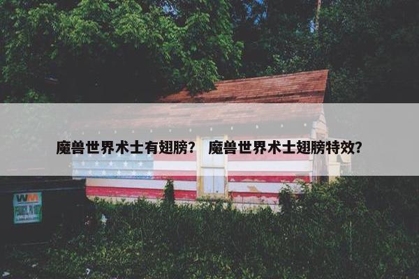 魔兽世界术士有翅膀？ 魔兽世界术士翅膀特效？