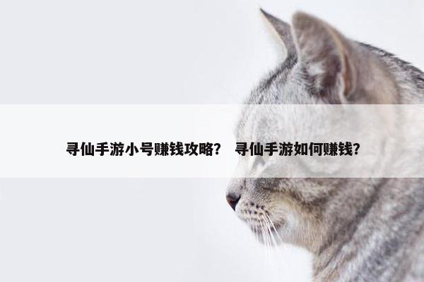 寻仙手游小号赚钱攻略？ 寻仙手游如何赚钱？