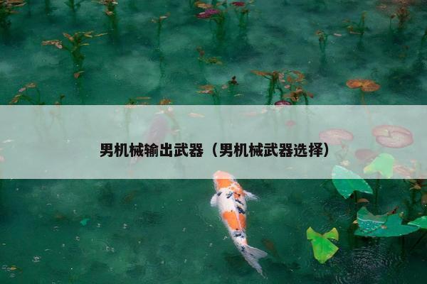 男机械输出武器（男机械武器选择）
