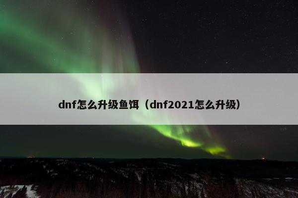 dnf怎么升级鱼饵（dnf2021怎么升级）
