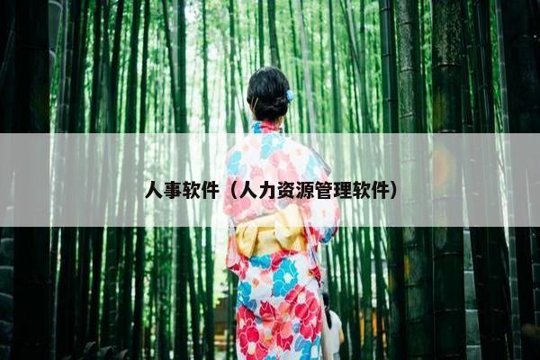 人事软件（人力资源管理软件）