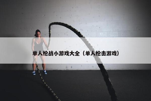 单人枪战小游戏大全（单人枪击游戏）