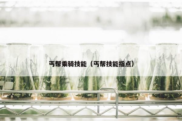 丐帮乘骑技能（丐帮技能指点）