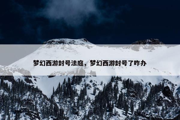 梦幻西游封号法庭，梦幻西游封号了咋办