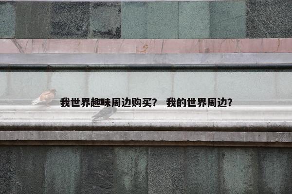 我世界趣味周边购买？ 我的世界周边？