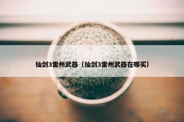 仙剑3雷州武器（仙剑3雷州武器在哪买）