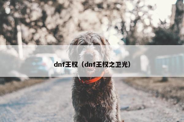 dnf王权（dnf王权之卫光）
